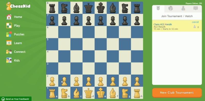 Online Chess Competition